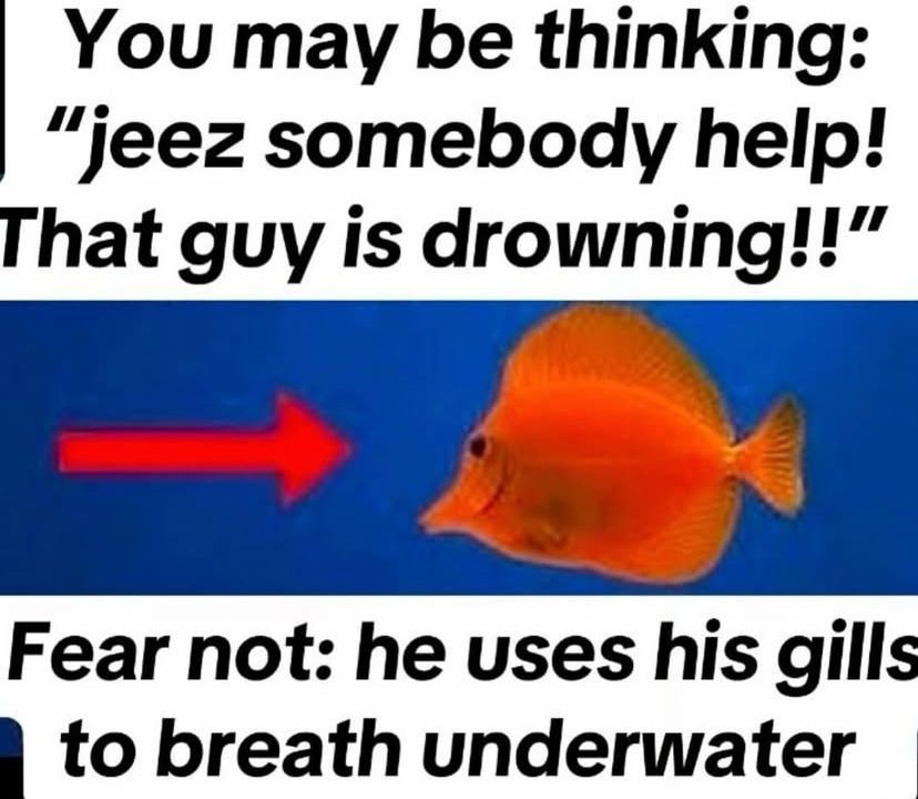 🕐HOURLY🕑 shitpost (@hourly_shitpost) on Twitter photo 