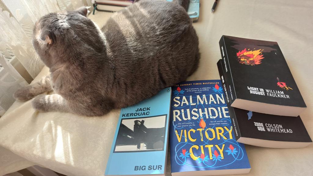 GorNevin's tweet photo. İndirim varmış , yeni dostlarımıza kavuştuk😊🐱📚💛#kitap #kedi #jackkerouac #bigsur #salmanrushdie #williamfaulkner #colsonwhitehead #şubat #kış https://t.co/iTjdZE638m