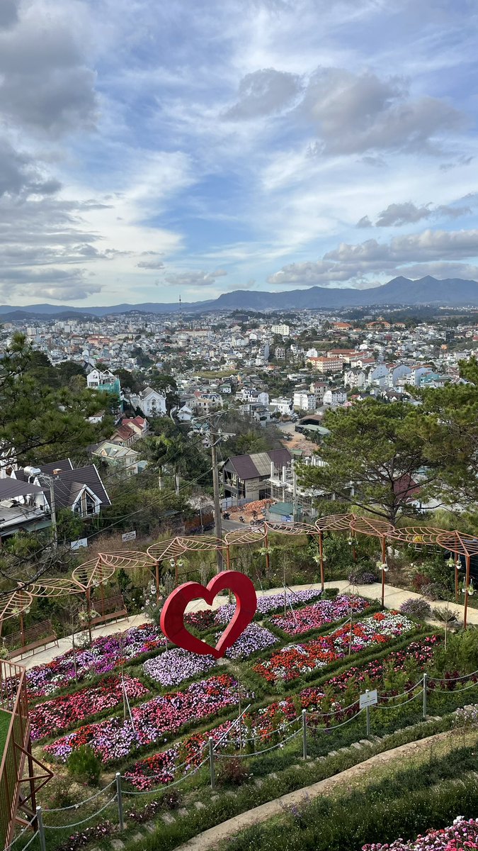 touched grass so hard i ended up taking a vacation in vietnam (would recommend)

what did i miss? i see market is shit 😅😅