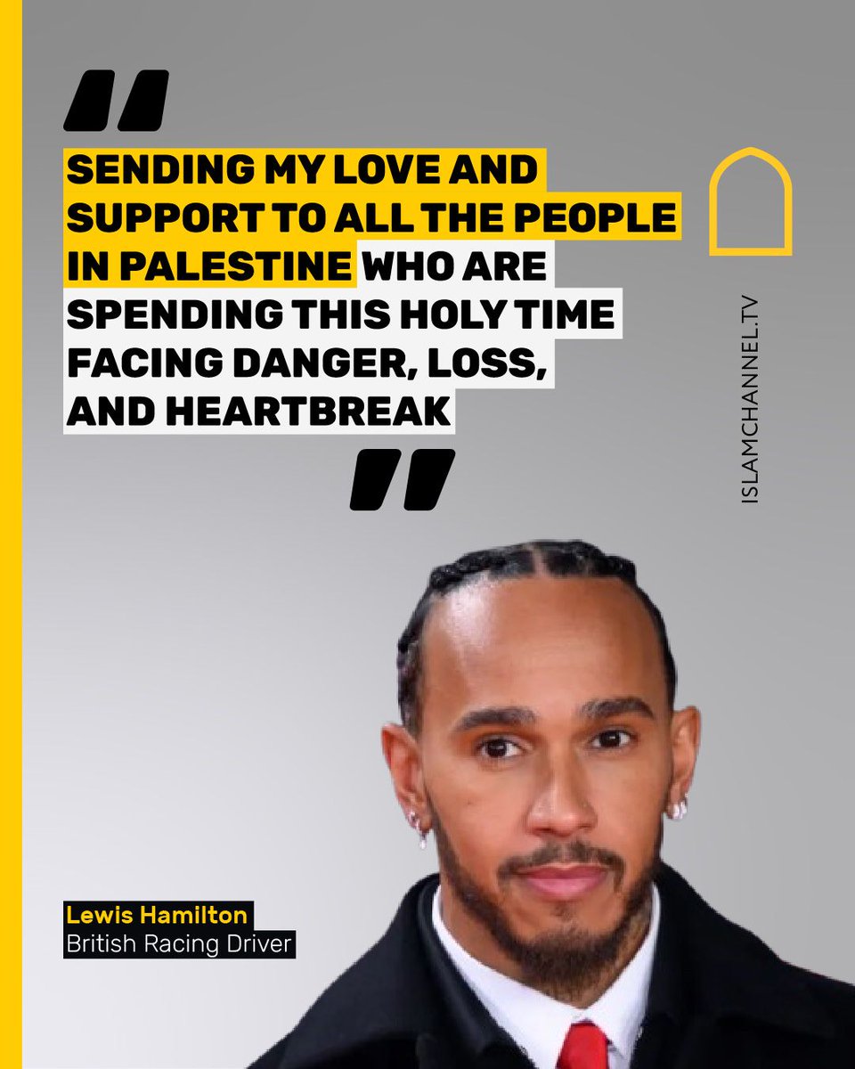 Lewis Hamilton in solidarity with Palestine