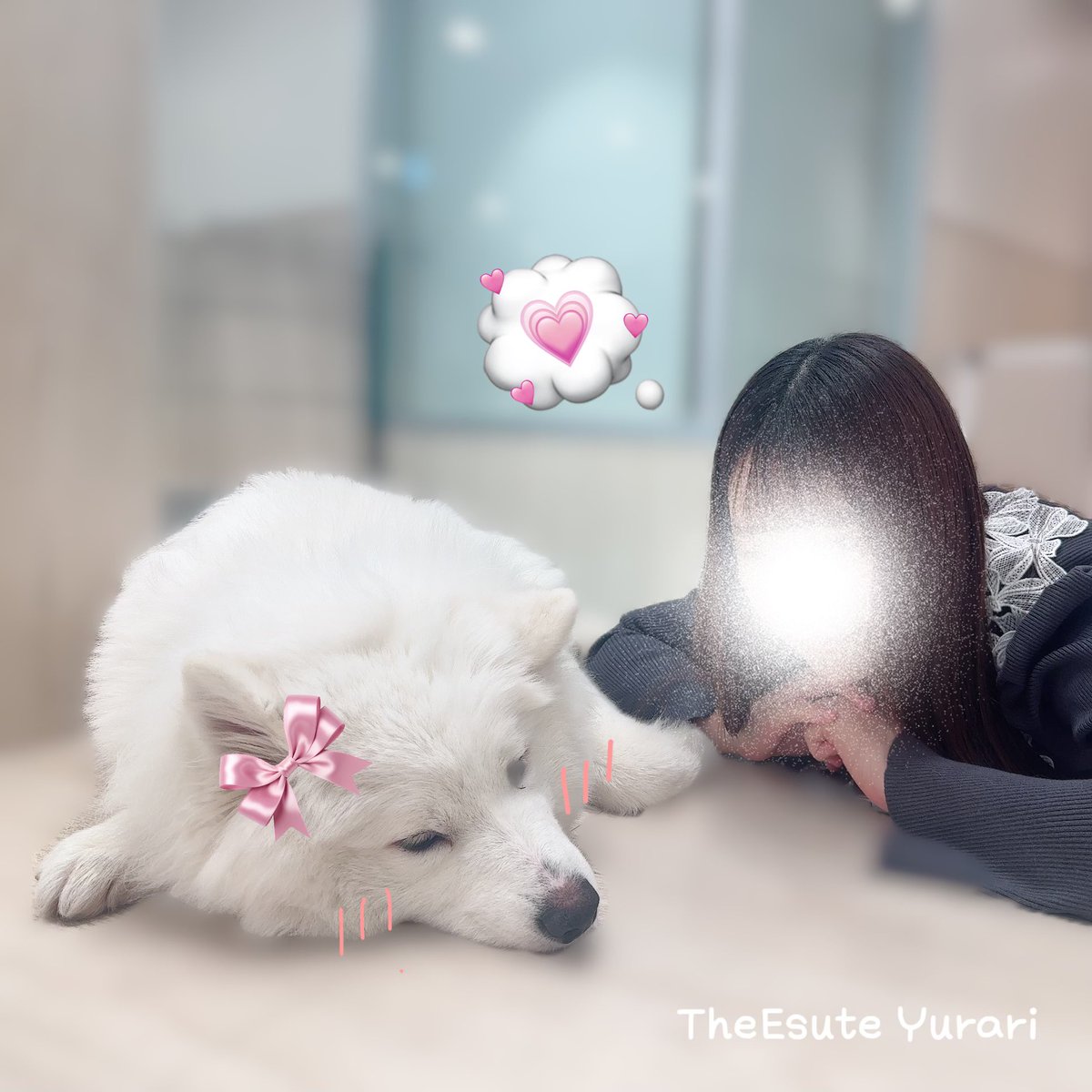 今日の写メ日記に載せたもふもふﾂｰｼｮ！