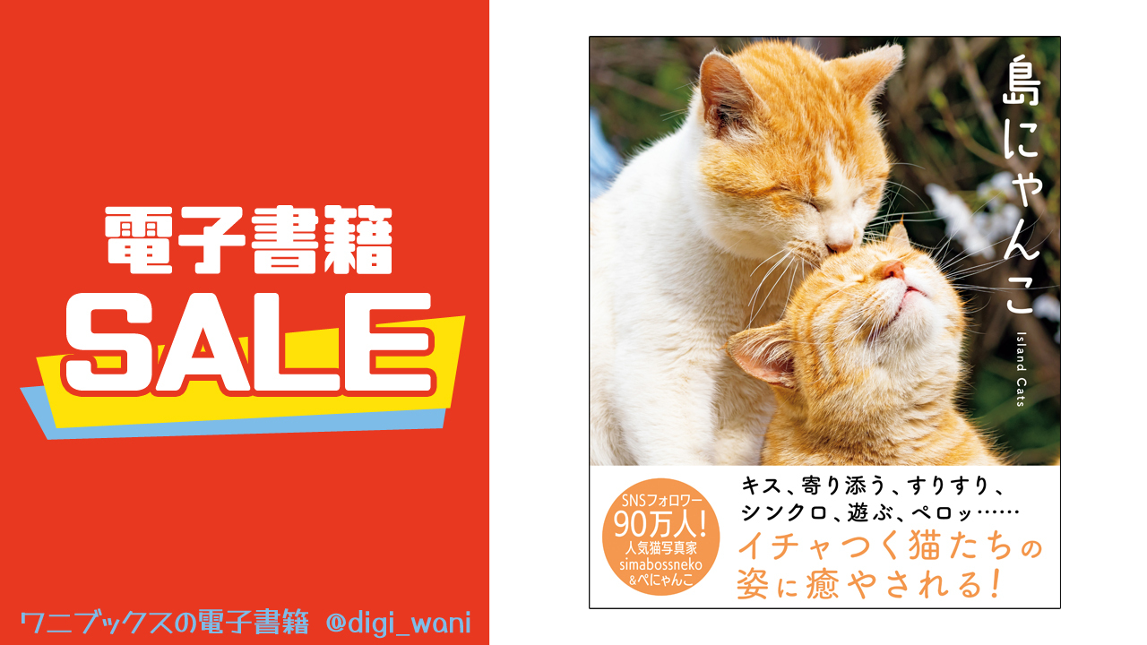 絵本「かなしきデブ猫ちゃん マルの真夏のプレゼント」※特典付き（クリアファイルとポストカード）