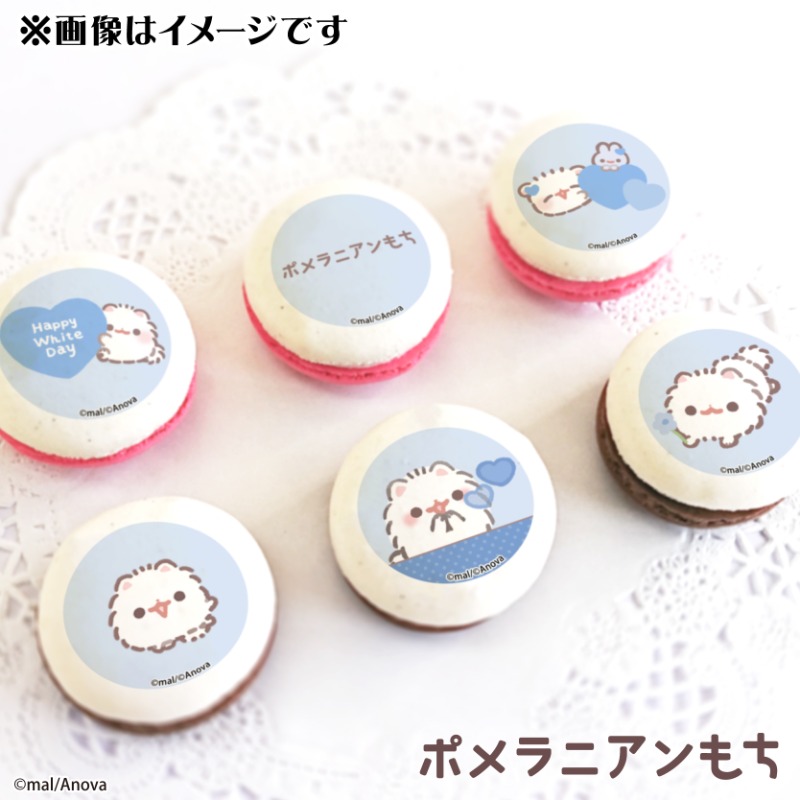 Post by ポメラニアンもち on X: ฅ•ﻌ•ฅ🩵