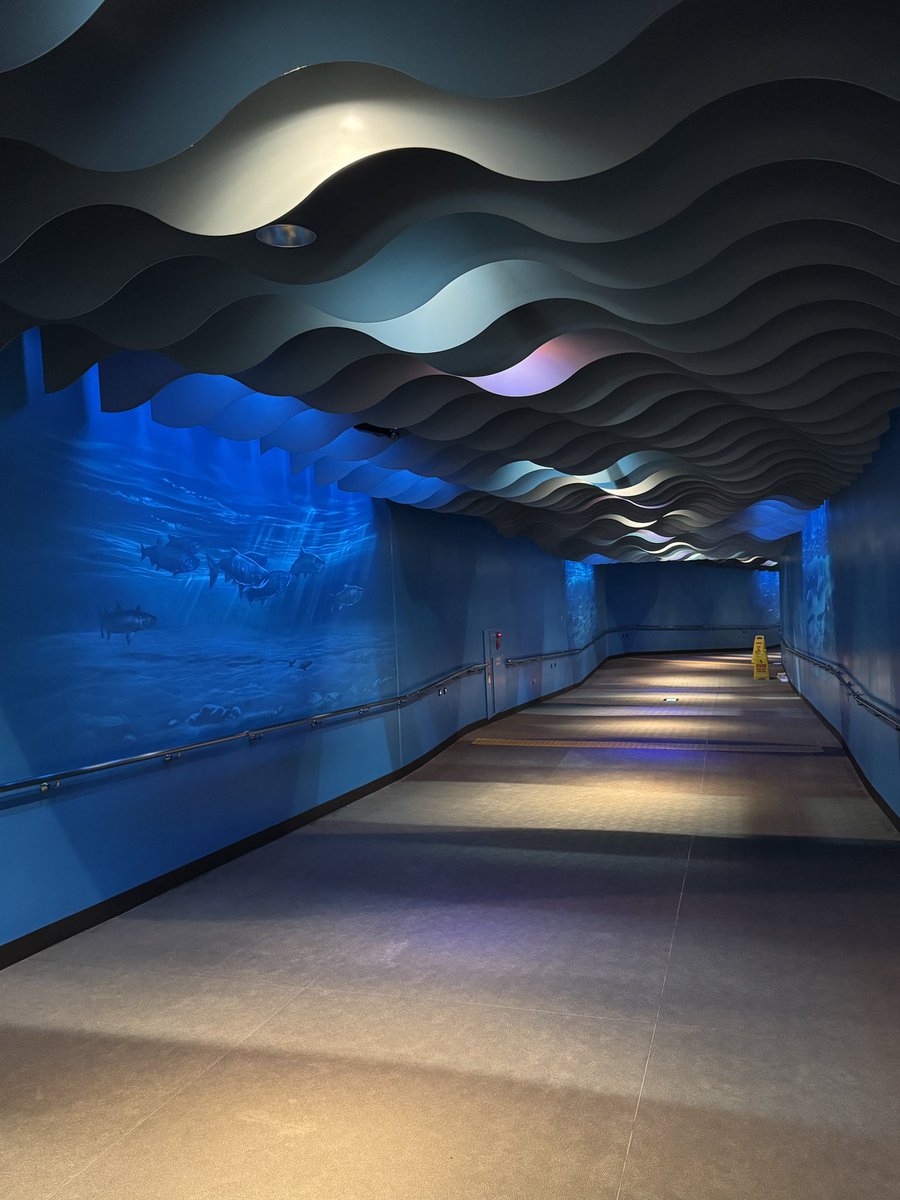 村上のイヨボヤ会館に初めて行ったけど、その外観と名称から鮭の物産館だと思ってたら入場料払う系の鮭博物館だった
昭和を感じる所も多いけど割と手が入っていい感じだったので、村上鮭ミュージアムや、名残でイヨボヤミュージアムに変えたら来る人がイメージしやすいと思った