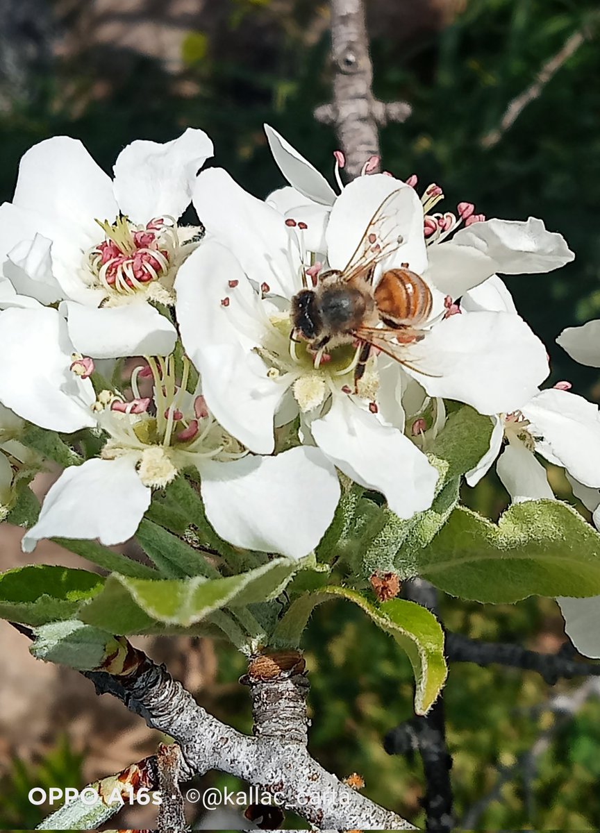 Si avanza 

nonostante troppi
venti contrari ..

        ..vita