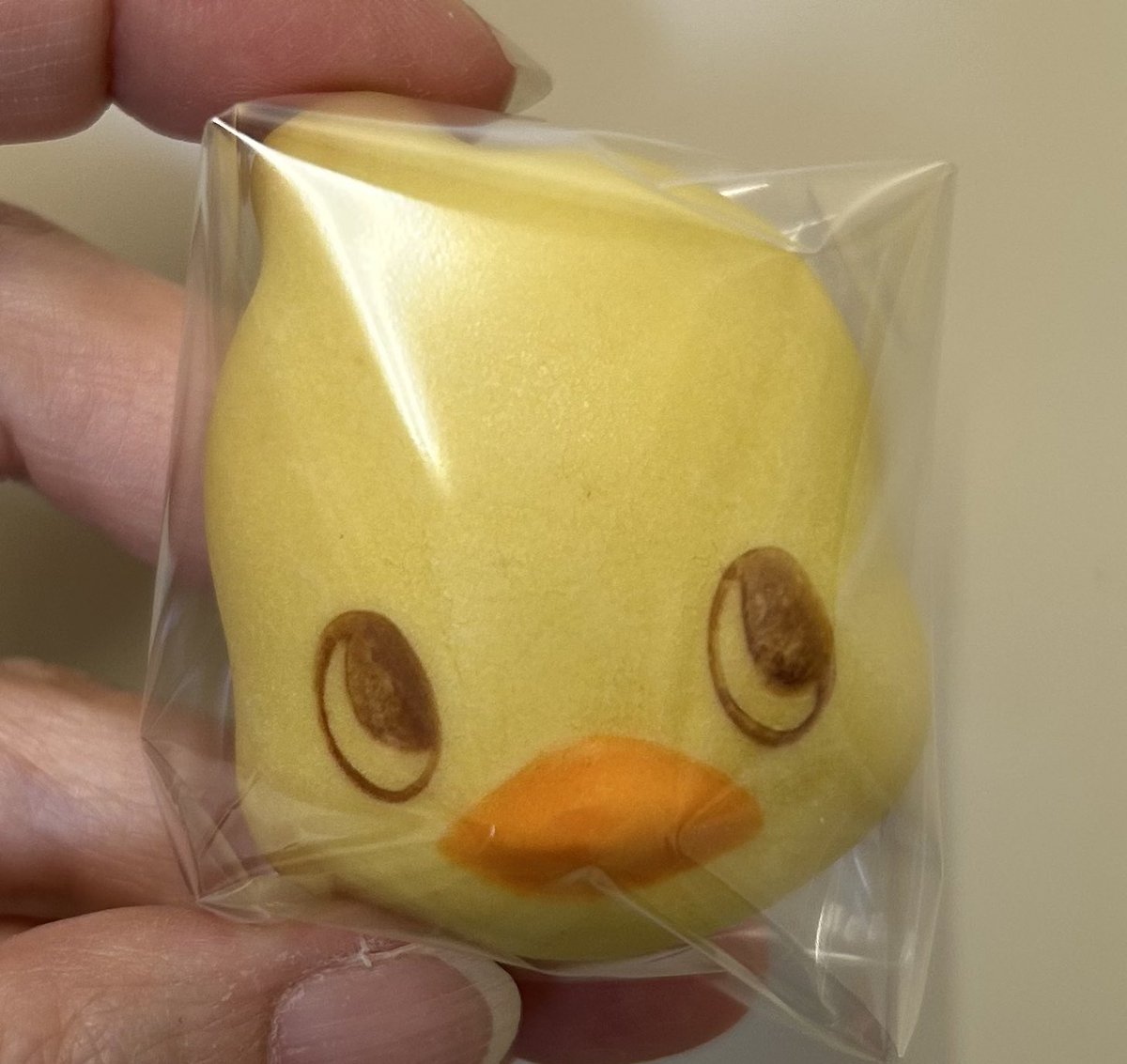 こ、これはかわゆくて食べられない…
でも顔面をかじりました🫡

#チキンらーめんまんしゅう