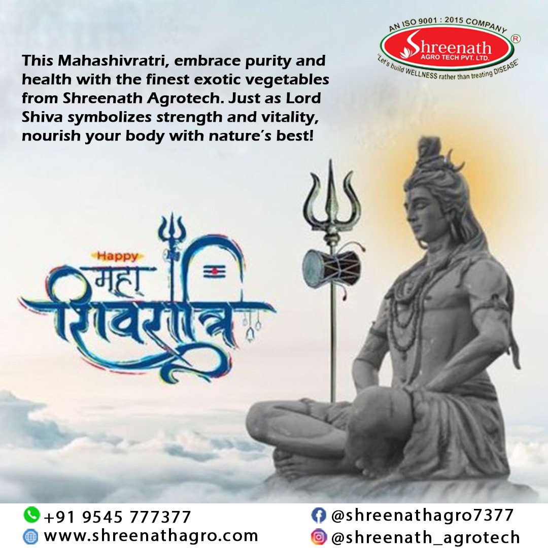 🕉️ On this holy occasion of Mahashivratri, may your soul be filled with devotion, peace, and positivity. 🌿✨
Om Namah Shivaya! 🔱

#Mahashivratri2025 #LordShiva #ShivratriVibes #ShivaDevotee #DivineEnergy