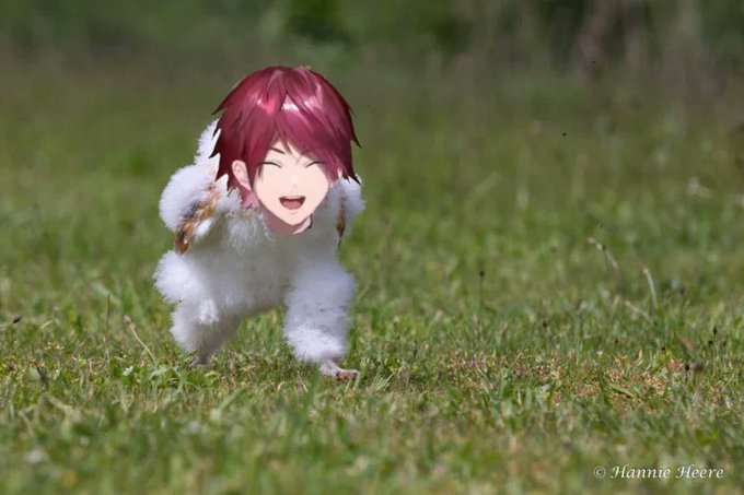 全宇宙魔法使い　ぱぴぷぺポロンのツイート