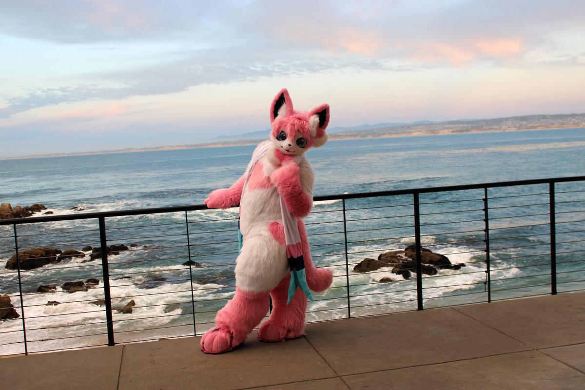 Caeles the Sylveon tweet media