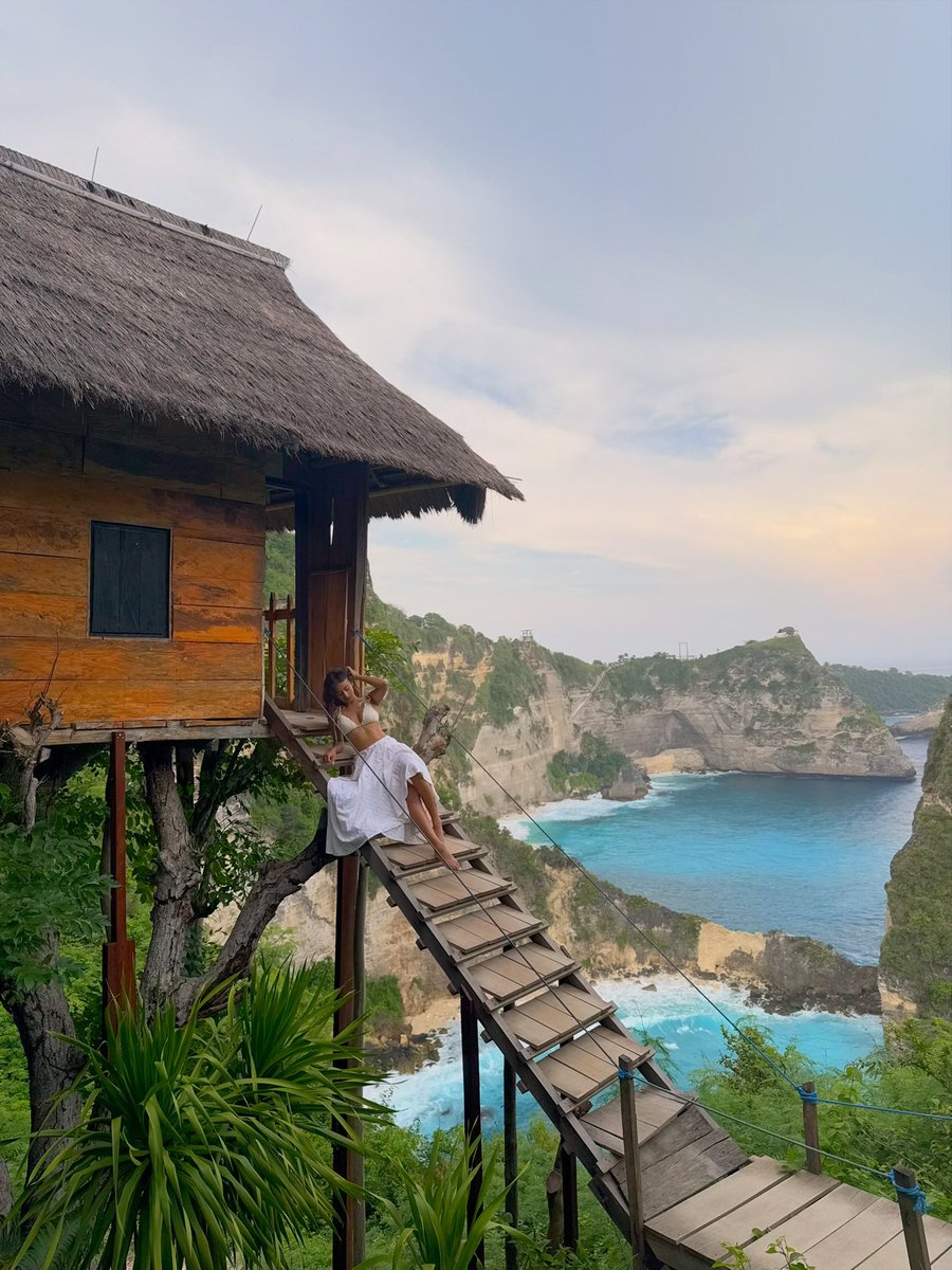 🌴 🌺🍹🍍🦜