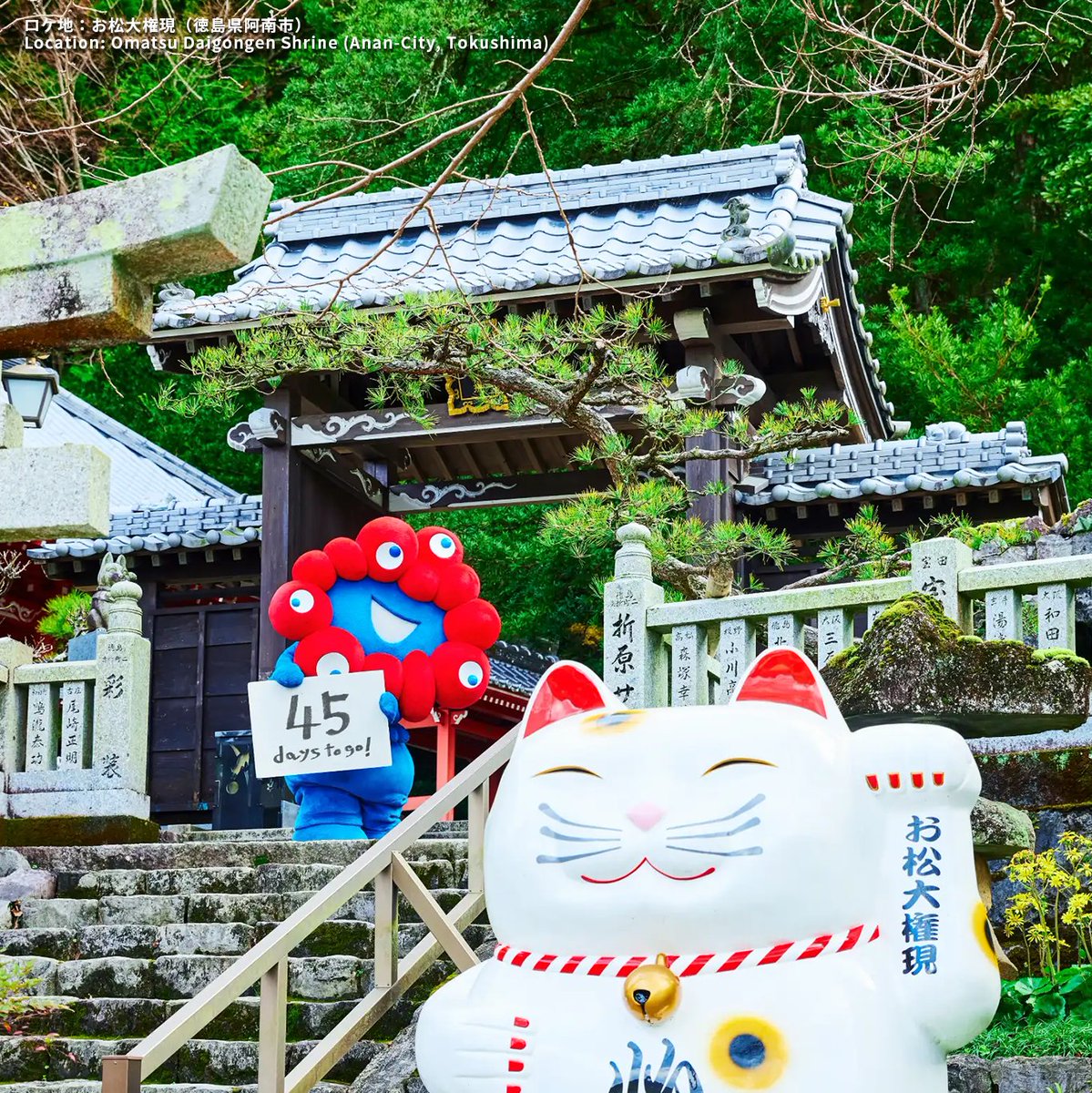 日本三大怪猫伝の舞台の一つ、 通称「猫神さん」⛩ 勝負事・願い事の
