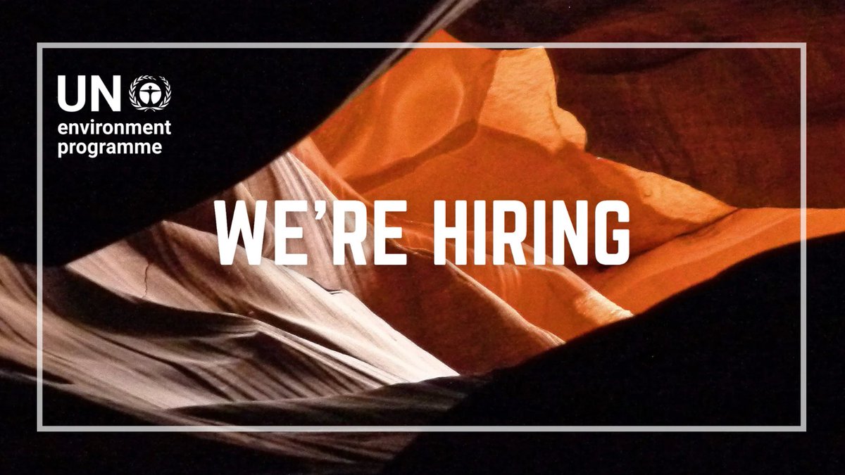 Join UNEP as a consultant! 
We are currently looking for a consultant for Mid-Term Review of Integrated Solid Waste Management towards Zero Waste
📍Home-based
📅Apply by: Mar 3, 2025

careers.un.org/jobSearchDescr…