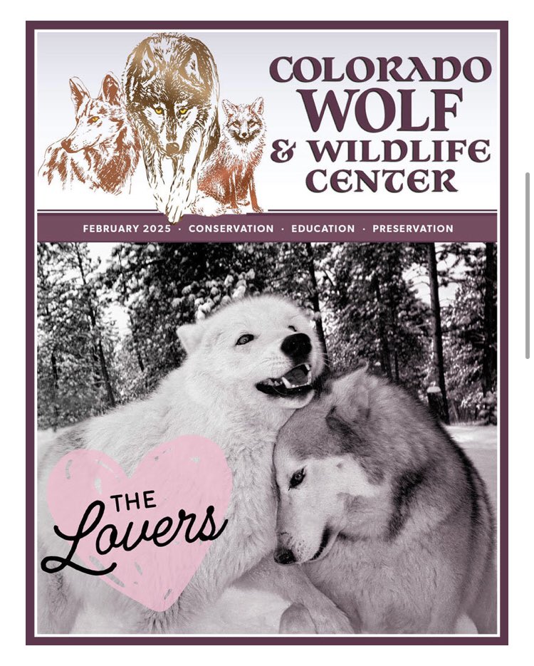 SamanthasLaw's tweet image. #CWWC
wolfeducation.org