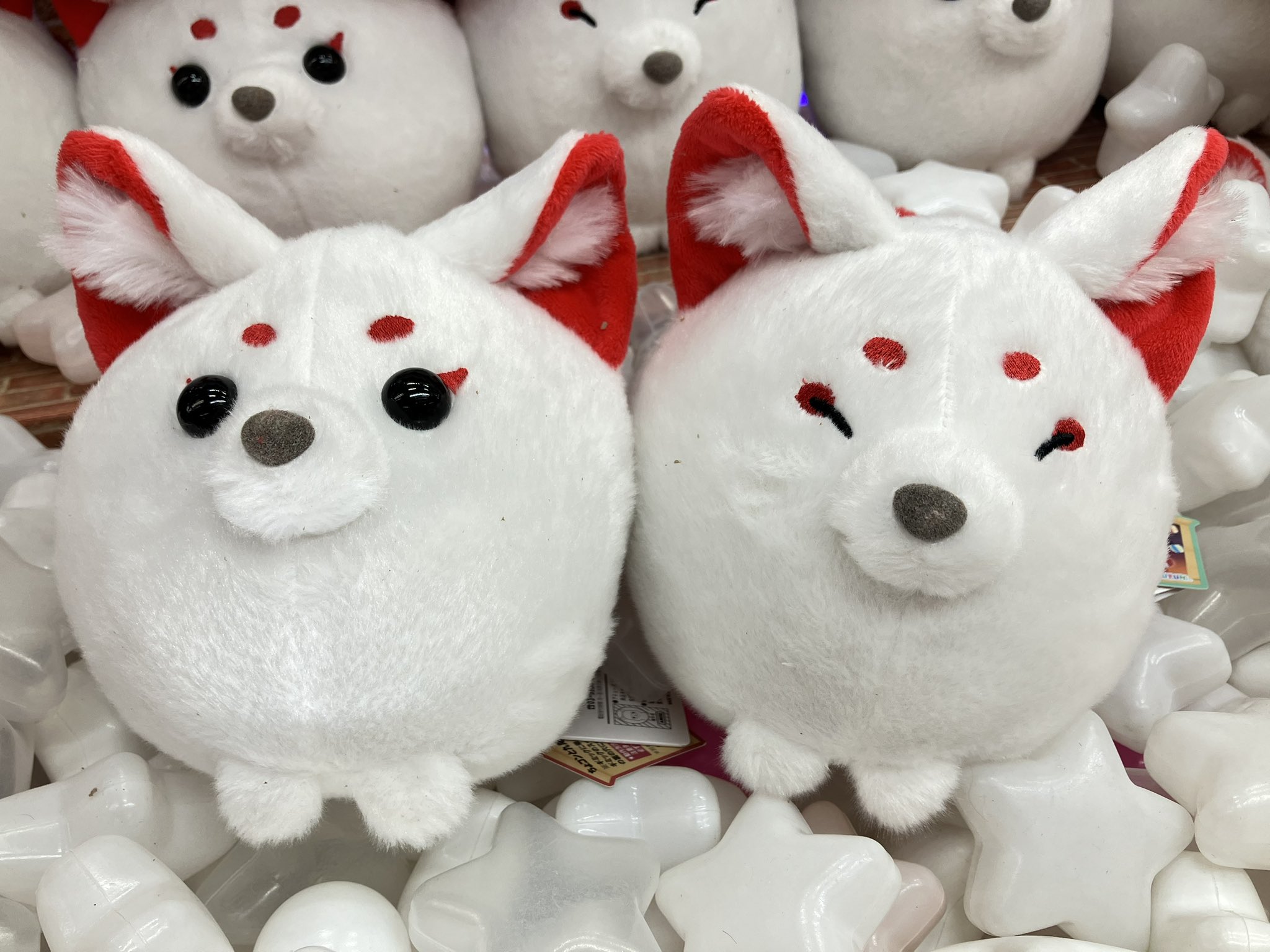 ちょコンとキツネ モーリーファンタジー限定 ぬいぐるみ 華道中