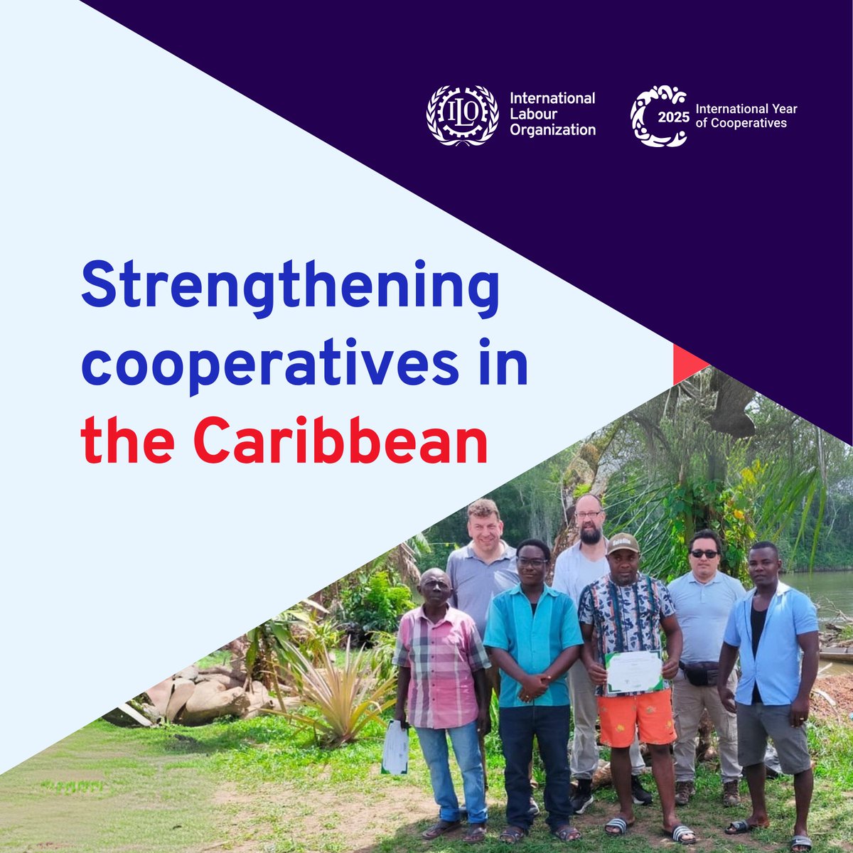 ilocoopsse's tweet photo. On the occasion of the launch of the #IYC2025 agenda in the Americas 🌎, explore how the @ilo is empowering cooperatives to improve livelihoods, enhance productivity and strengthen resilience in #Dominica 🇩🇲, #Guyana 🇬🇾 and #Suriname 🇸🇷

➡ https://t.co/Eu7FY6jsmm https://t.co/x7NwV4DmsS