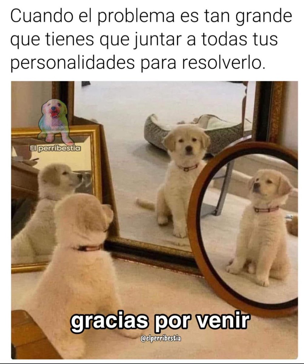 ymuchosmemes's tweet photo. https://t.co/q6XX2wRaZB