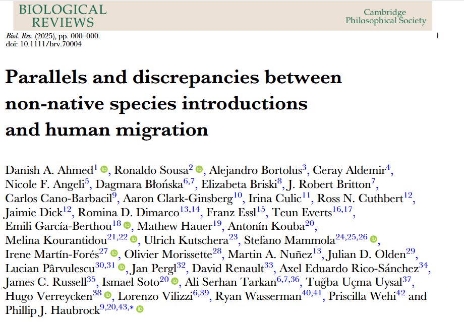 Teun Everts tweet media