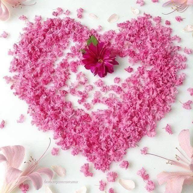 zenah_ss's tweet photo. ” كل الحب ..

 لأولئك الذين يتخطون المسافات بين القلوب
 بطيب الكلام و صدق المبسم أولئك الذين لم يبخلوا يومًا بألطف الأقوال و أخلص الأفعال .."
#كلام_من_القلب 
#صباح_الخير 
#رسالة_اليوم https://t.co/5DujRmoP3V