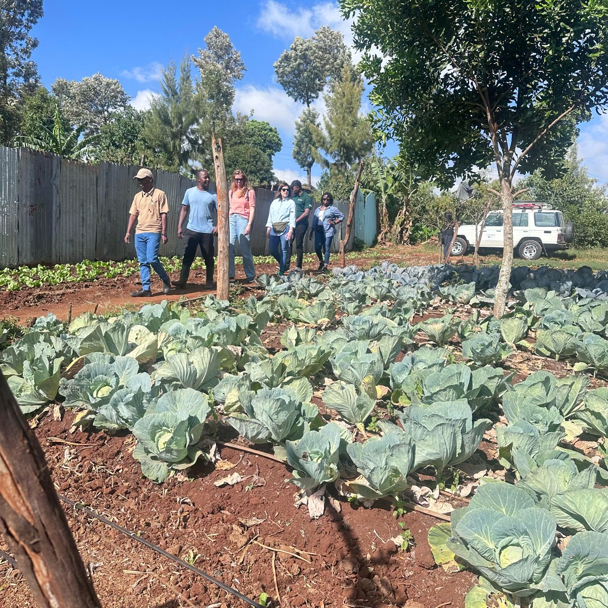 Yesterday, we hosted a team from <a href="/SNV_Kenya/">SNV Kenya</a> at our demo farm in Githunguri! 🚜🌱

We discussed key challenges young farmers face—access to finance, markets &amp; quality inputs—and showcased how the farm has grown into a farmers training center.

#KilimoNiMboka #YouthinAgriculture