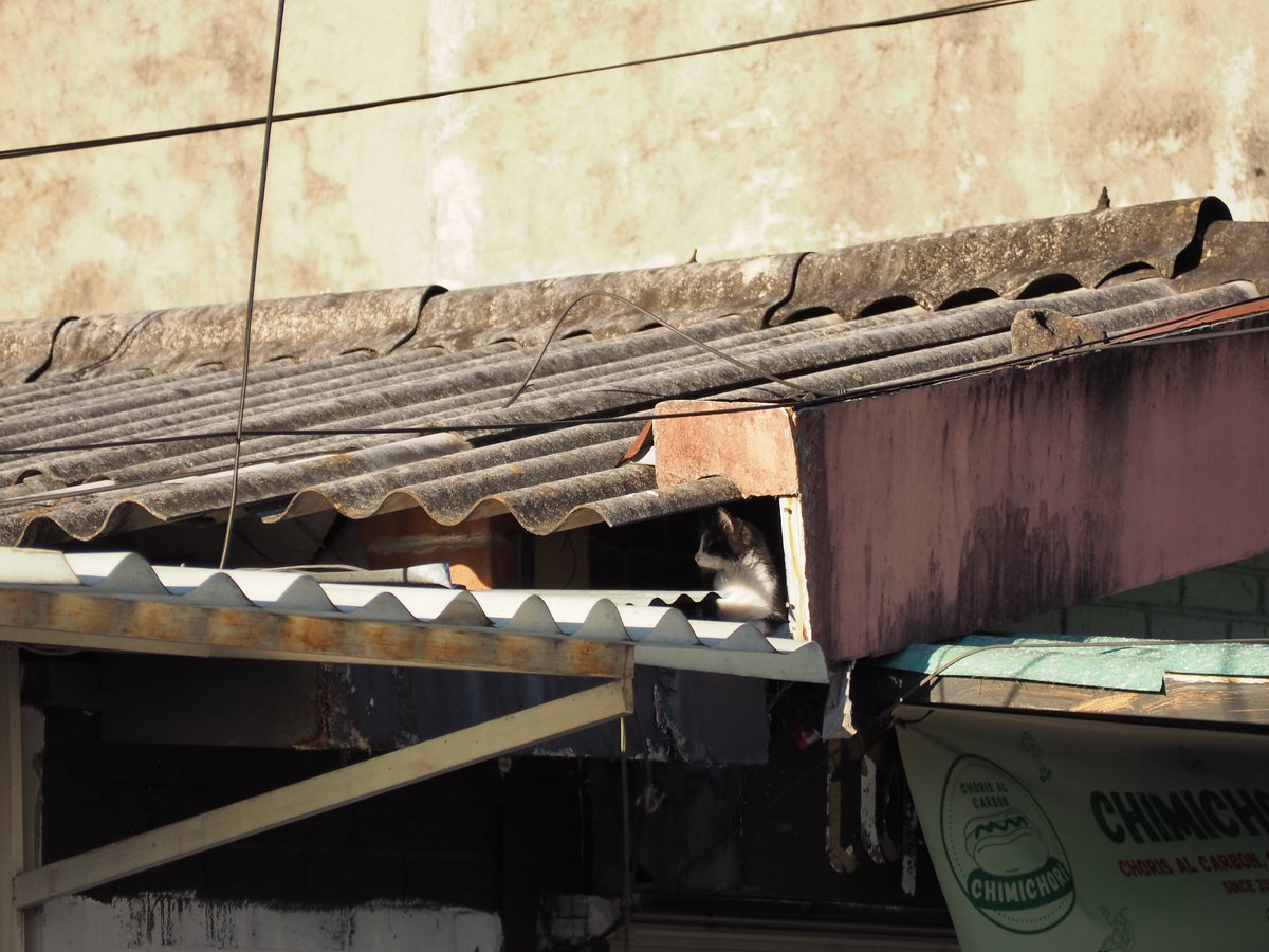 Stryyyyyyyyyyyy's tweet image. 