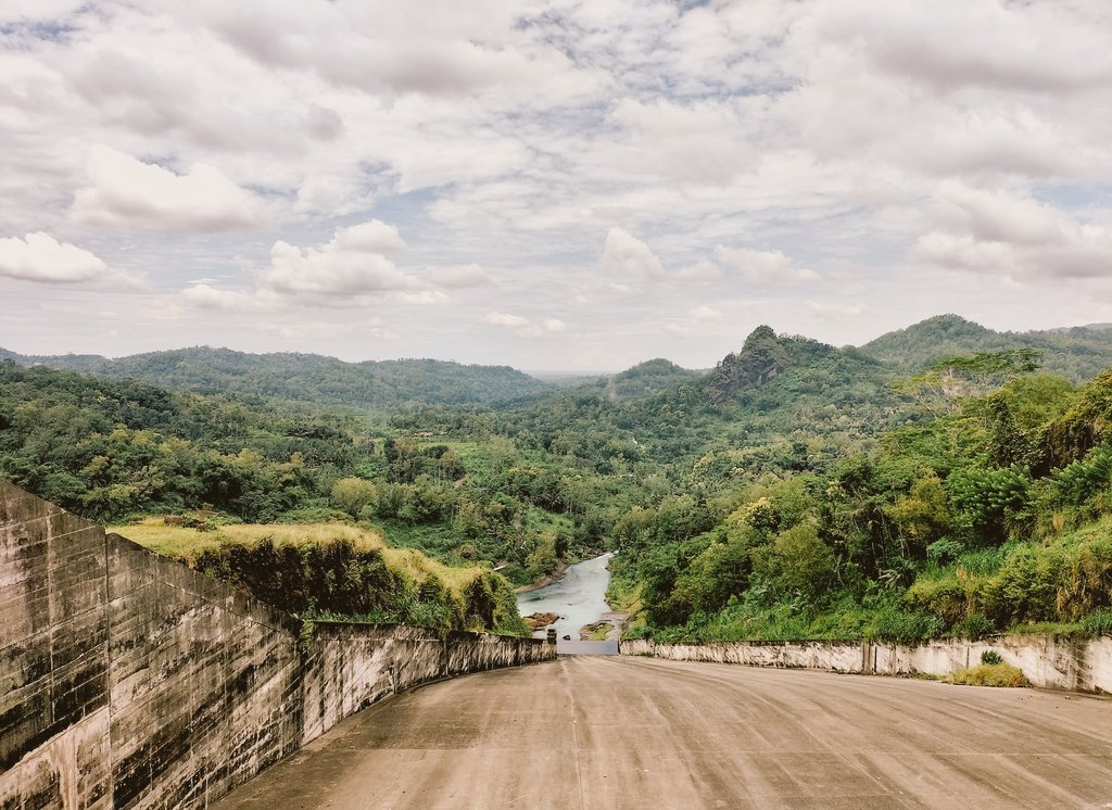 oiseyy's tweet image. p mancing