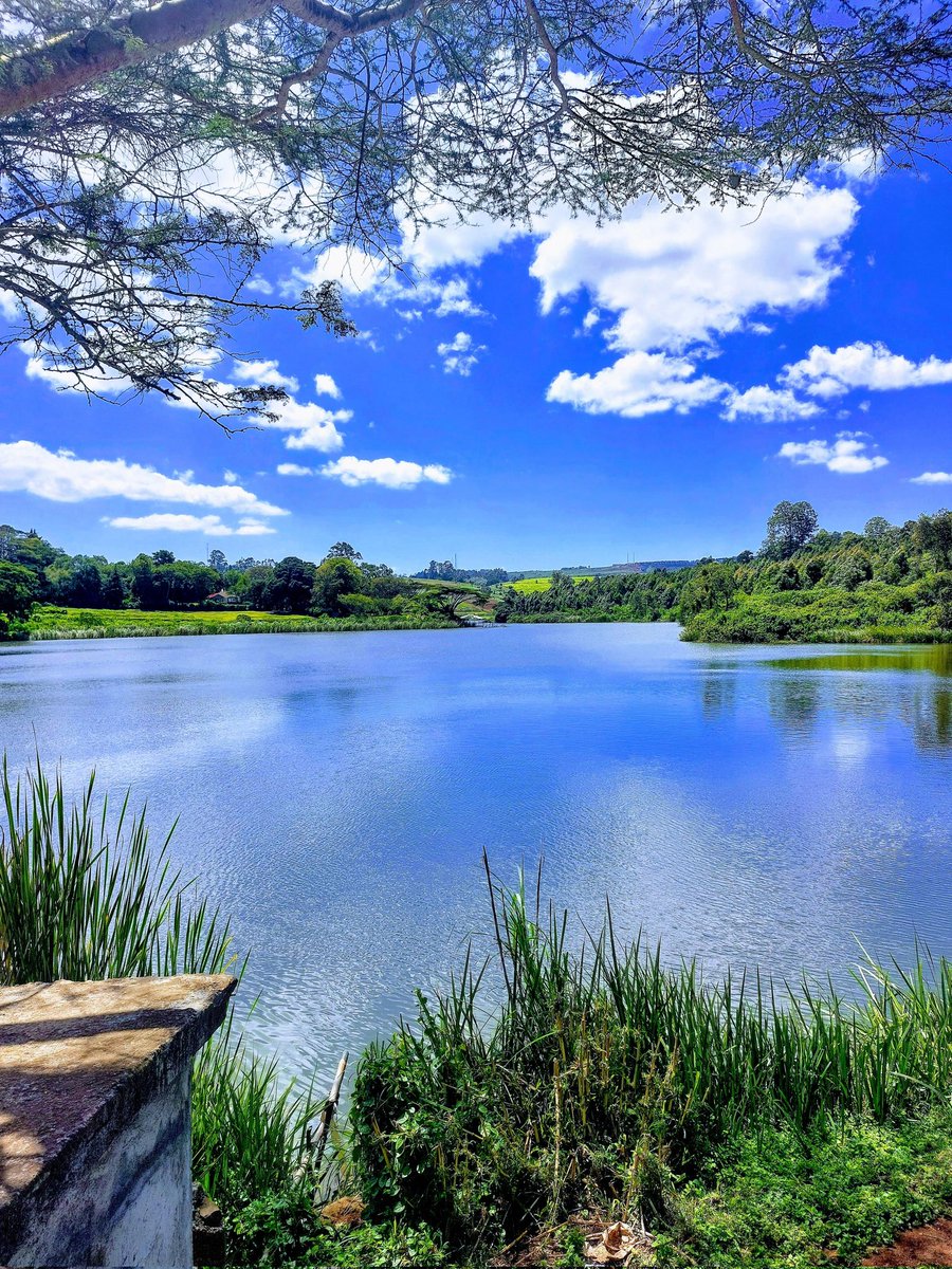 Here we go! tweet media