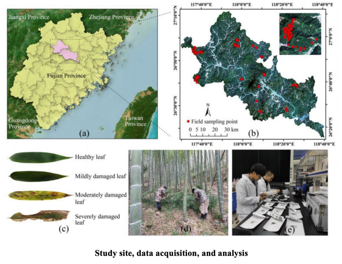 Forestecosyst's tweet image. Scientists uses satellite data to improve the model for tracking pest damage in Moso bamboo forests. This helps measure chlorophyll and water levels more accurately, boosting ecosystem health monitoring.
#satellitedata 
@Forestecosyst 
sciencedirect.com/science/articl…