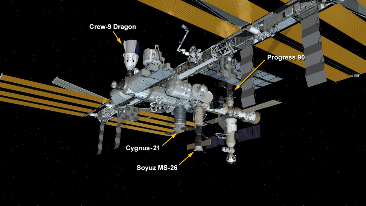 RevesdEspace's tweet photo. 🛰️ Le cargo #ProgressMS28 arrivé à l'ISS le 14 août 2024 s'est désamarré à 20h17 UTC ce mardi. Il va effectuer une rentrée atmosphérique contrôlée et se désintégrer.
📷 NASA, Configuration de l'ISS après son départ https://t.co/0OXacUHNl3