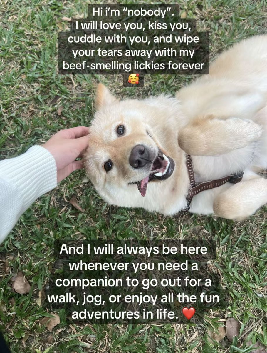 iahsgf's tweet photo. aiah new tiktok post! my favorite duo forever 🥹 https://t.co/m6lf7ohJJo