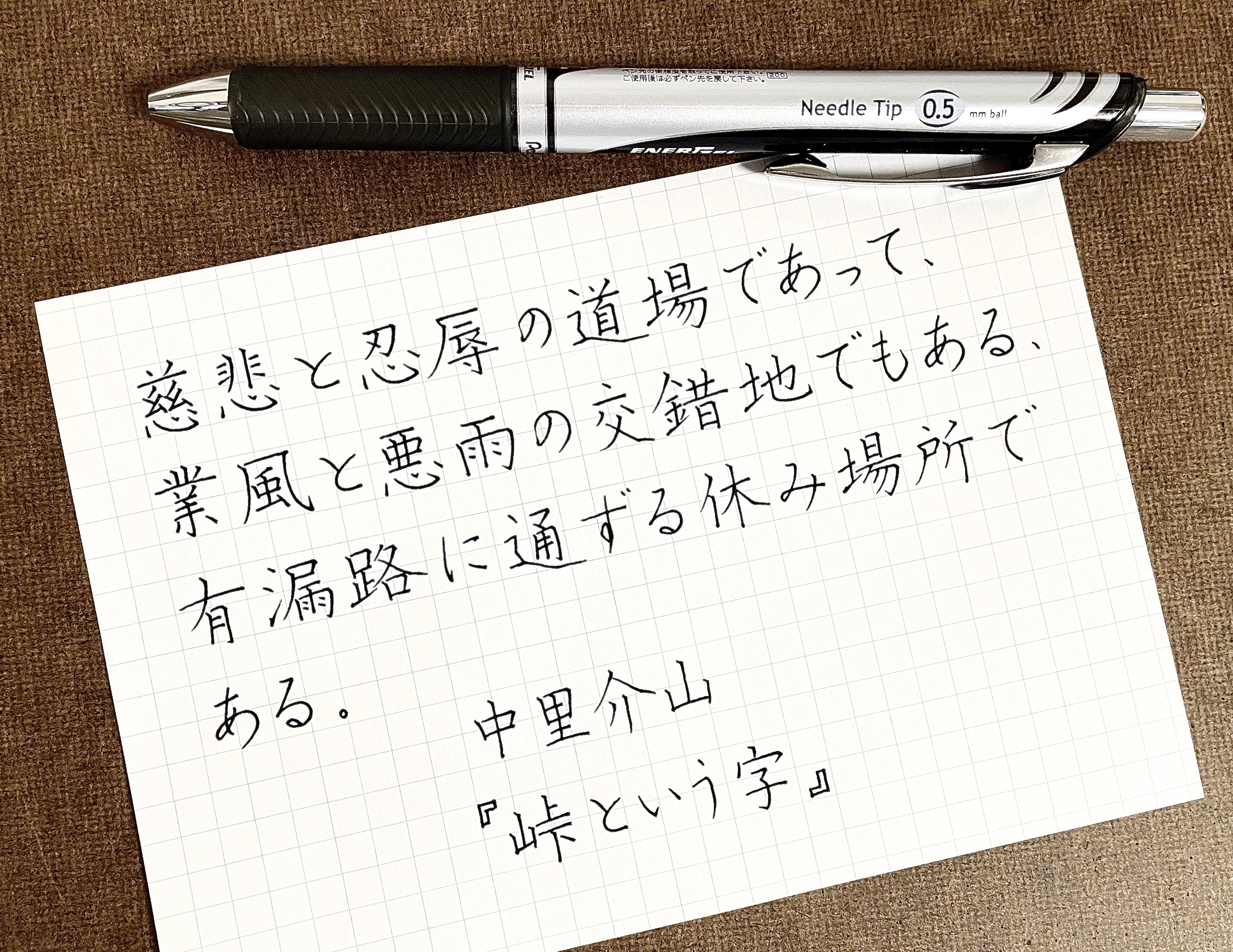 ボールペン習字を始める人のために 楽天市場】ボールペン字練習帳 (100円ショップ 100円均一 100