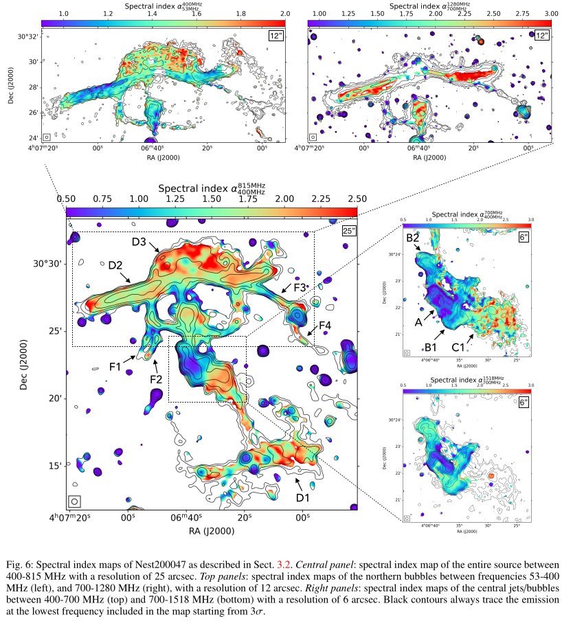 Radio spectral analysis of Nest200047, by <a href="/marisa_brienza/">Marisa Brienza</a>+
The peculiar AGN at the center of this group is studied with data from 50 to 1500 MHz. The broad band allows the spectral characterization of the filaments + aging analysis of the multiple bubbles
arxiv.org/abs/2502.18244