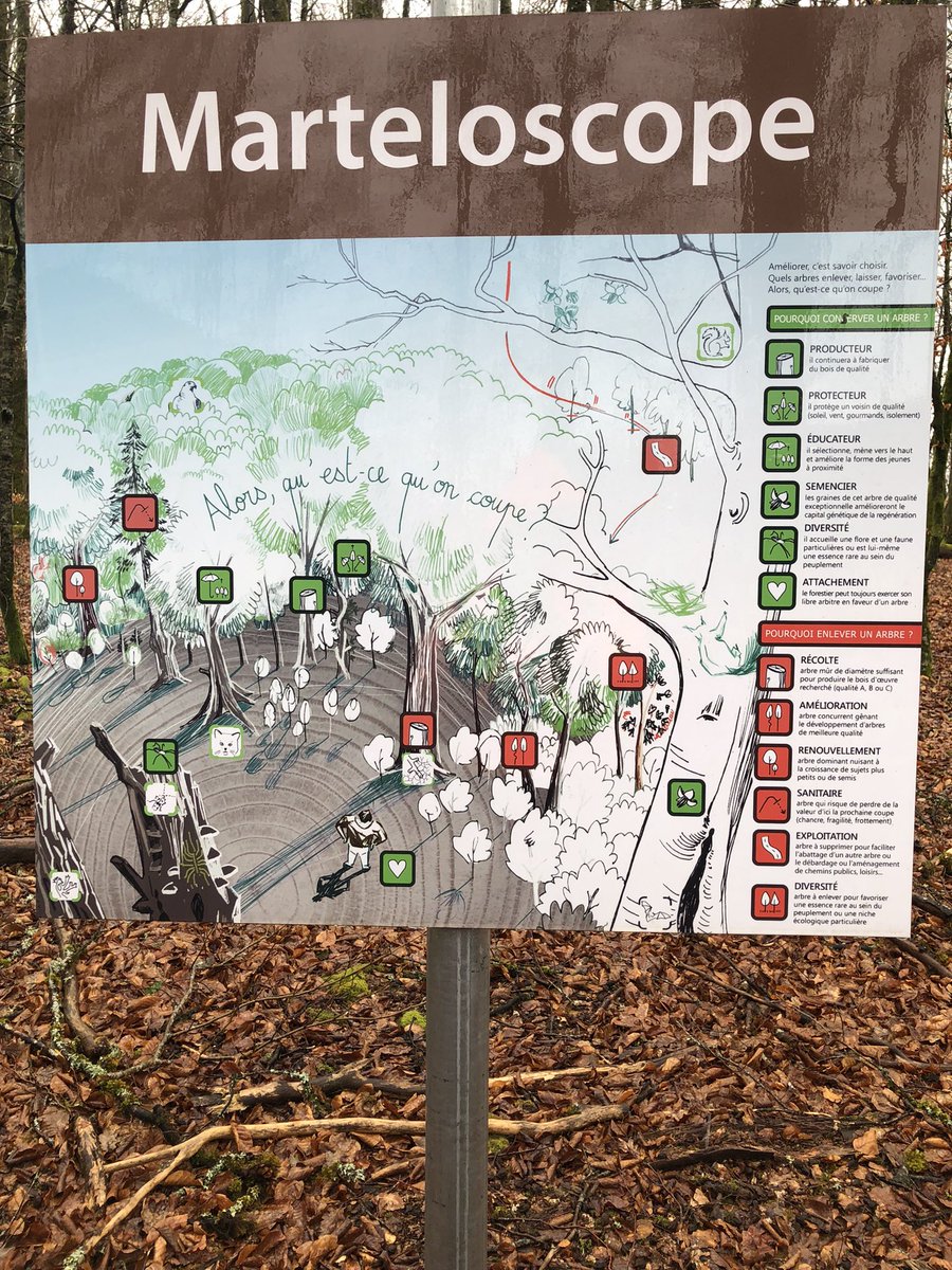PEFCTerritoires's tweet photo. Visite  du site « Hêtre en Forêt » avec FIBOIS Nouvelle-Aquitaine . Un bel exemple de gestion durable de la foret suivi du Comité Territorial. Perspectives 2025 et présentation d’Observabois Nouvelle-Aquitaine🌳🌲 https://t.co/6e4wcqO0IU