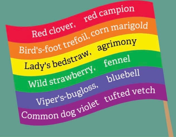 The LGBT+ Partnership (@lgbtchelt) on Twitter photo Wild. Beautiful. Natural.
If you’re looking for plants that bring out all of the rainbow here’s a few to get you started 🌈
#WilderPride
<a href="/gloswildlife/">@Gloucestershire Wildlife Trust</a> Wild. Beautiful. Natural.
If you’re looking for plants that bring out all of the rainbow here’s a few to get you started 🌈
#WilderPride
<a href="/gloswildlife/">@Gloucestershire Wildlife Trust</a>