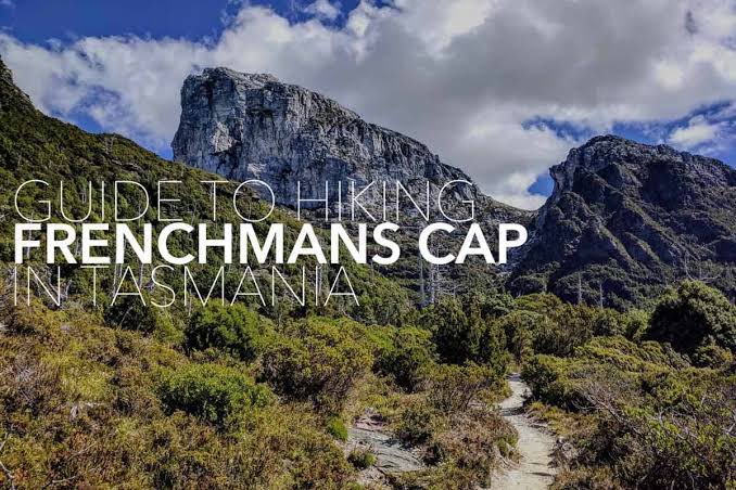 Daniel Quintin tweet media