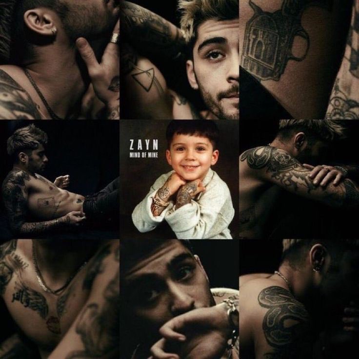 Best Of Zayn (Fã) (@bestofzaynj) on Twitter photo 