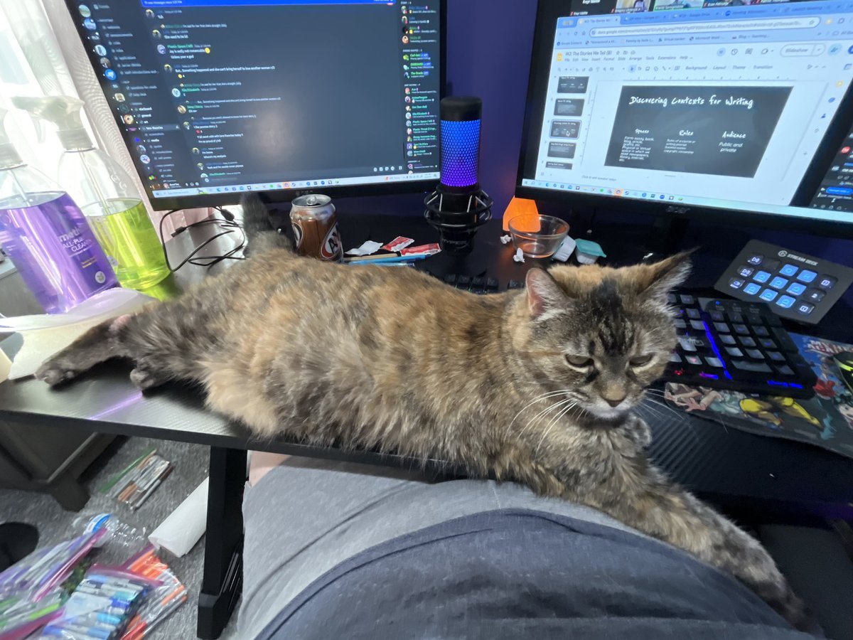 tea_aced's tweet photo. @PearlescentMoon Have my cat Noel, she’s a menace and screams for attention all the time lol https://t.co/sndGA8V8qV