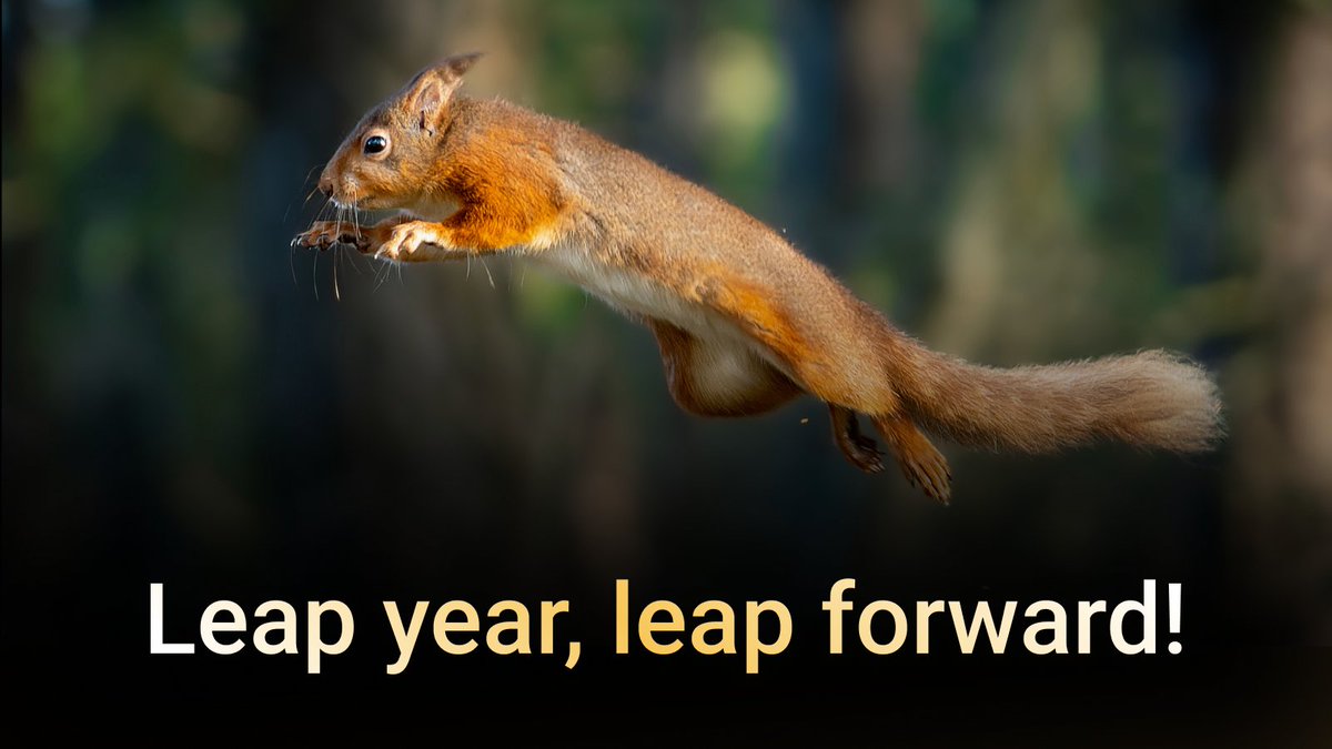 Squirrel Technologies 🥜🐿 tweet media