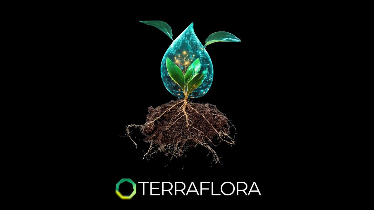 Terraflora_io's tweet image. 🌱 Choosing the Right Seed in a Changing Climate
There are hundreds of thousands of wheat varieties, raspberry strains, and vegetable seeds. With climate shifts and soil conditions constantly changing, how can a farmer know which seed will produce the highest yield on their…