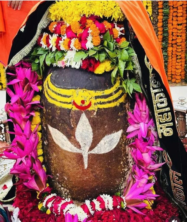 Yogitasha's tweet image. Happy #Mhashivratri ♥️🙏🚩Guys🙏har har Mahadev ❤️🙏🚩 Shri shivay Namastubhaym 🙏🚩♥️