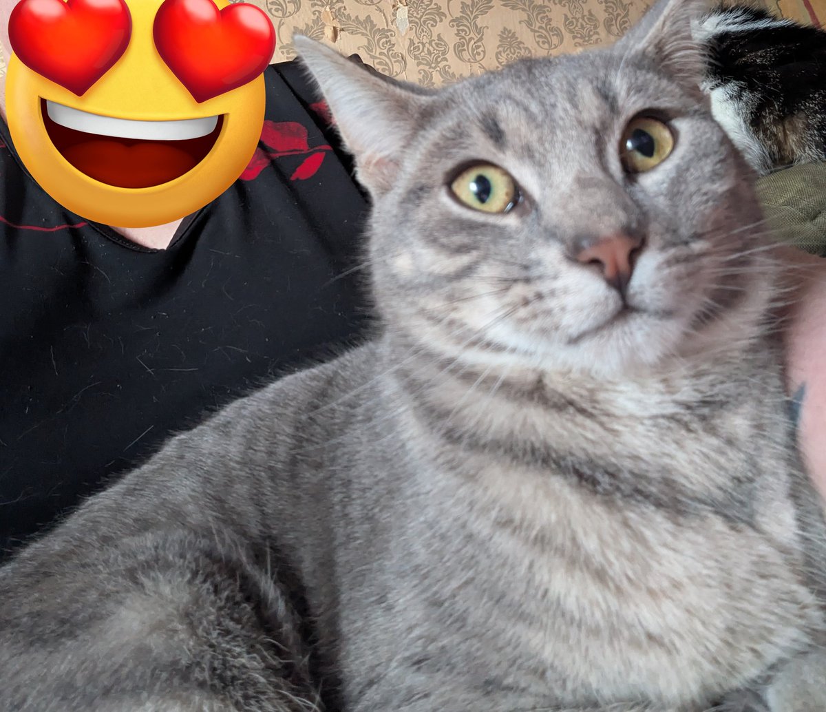 Remy zegt Goedemorgen ...