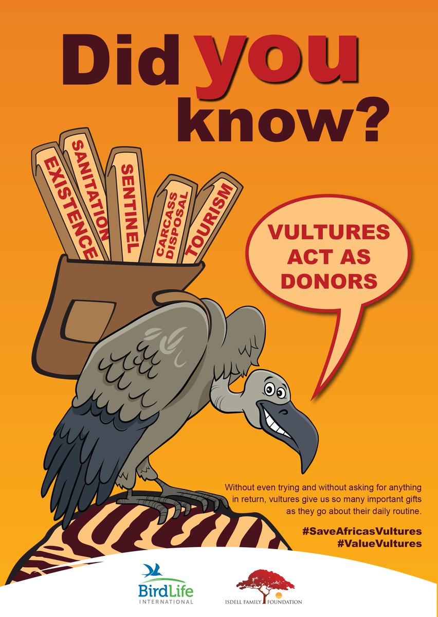 #Vultures, also known as the clean-up crew, play a significant role in keeping the environment safe for humans, livestock and wild animals.  They also provide various other #ecosystemservices. They do all this for free!

#SaveAfricasVultures #Valuevultures #SaveVultures #