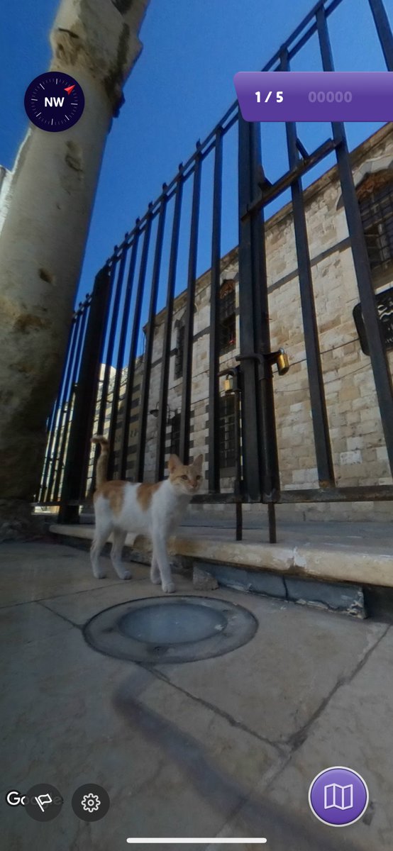 deleteUser_1's tweet image. ジオゲッサーやってたらねこいた