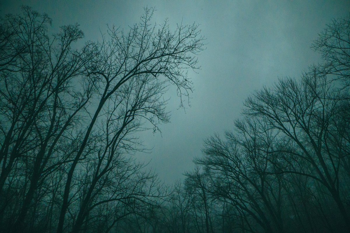 XupengFrank's tweet photo. the winter in Summit, New Jersey 
Shot with helios 58mmf2
#nostalgia #wintersvibe #NewJersey #photograph #cinematic https://t.co/5WQXLH0Loi