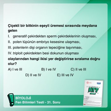 Resim