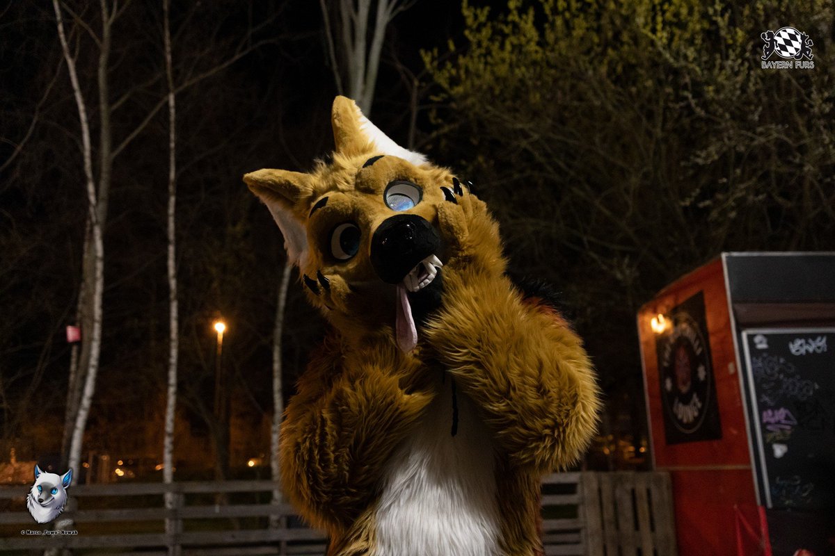 Post Con Depression nach der NFC?
Nicht mit uns!

Jetzt noch schnell einen Platz bei der Bavarian Spring Convention Ende März sichern.

&gt;&gt; bsc.bayern-furs.de &lt;&lt;

Alle Details gibt es hier: bayern-furs.de/events/bfd