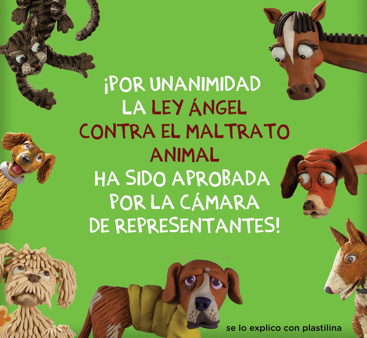 altereddie's tweet photo. Por votación unánime, fue aprobado el proyecto de Ley Ángel, que busca fortalecer la lucha contra el maltrato animal, estableciendo medidas para mejorar los procesos penales y sancionatorios policiales en casos de maltrato animal, además de ayudar a prevenir estas conductas. https://t.co/dScvXy5MM4