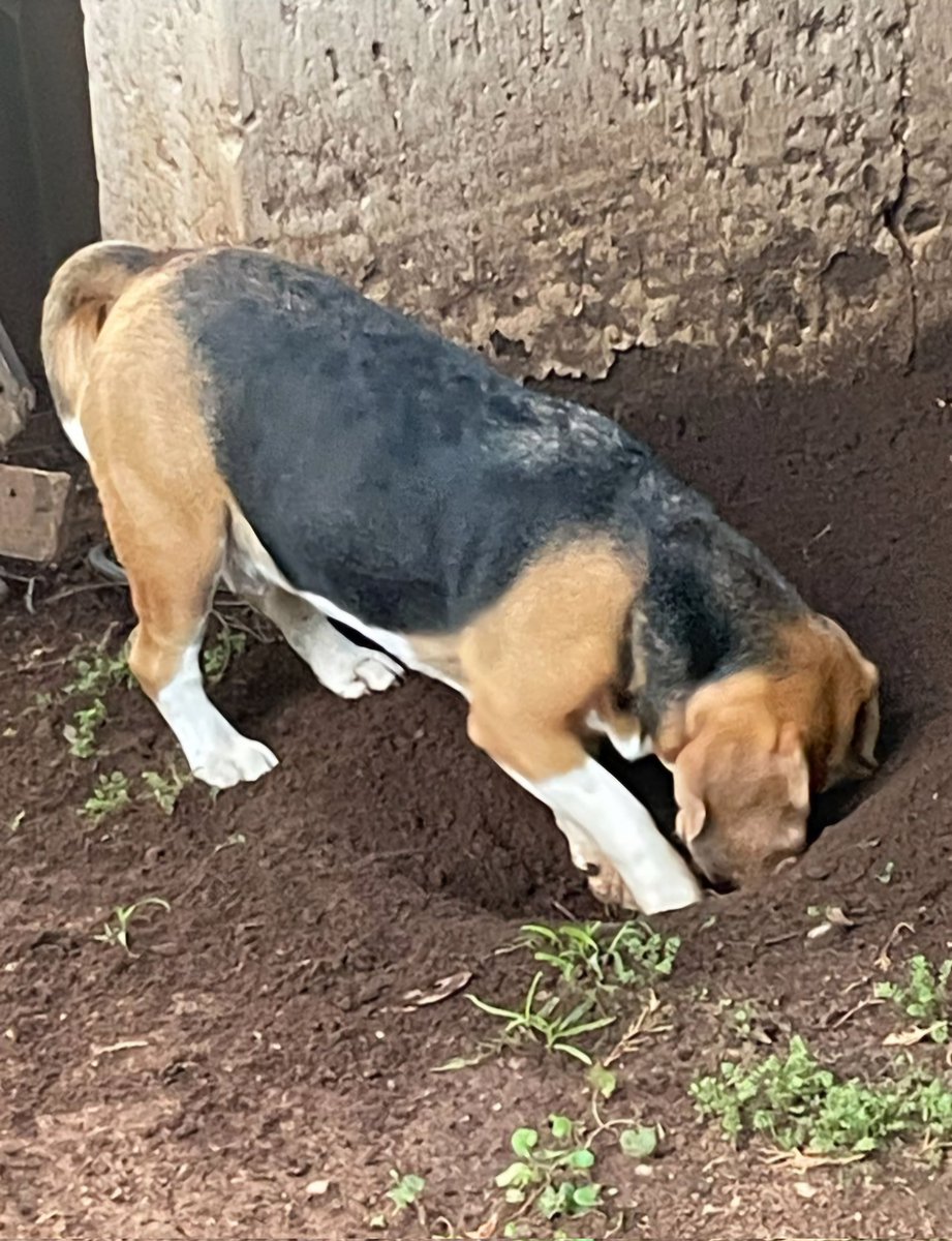 Alex Jay tweet media