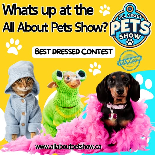 Best Dressed in Simcoe contest, hosted by Designer Doggie at the All About Pets Show – #Simcoe!
WIN a $100 Shopping Spree at the All About Pets Show! 
March 8 and March 9!
The Aud, Norfolk County Fairgrounds, Simcoe ON
Tickets and Pet Waiver allaboutpetshow.ca