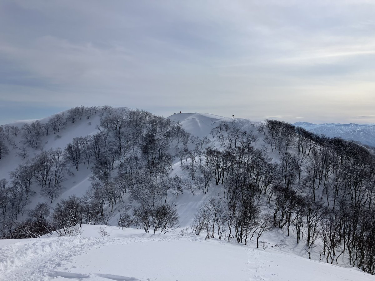 MIR_Revision's tweet photo. 画像はこの冬何度か登った五頭山
冬山は虫も熊もいないので、命の危険があることを除けば快適だ😊 https://t.co/vBfhaB5wg4
