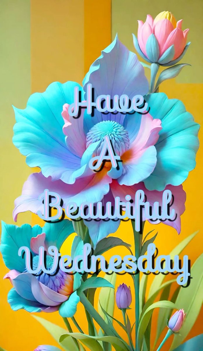 🌹Diane🌹 tweet media
